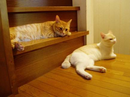 仲良しおにいちゃんず