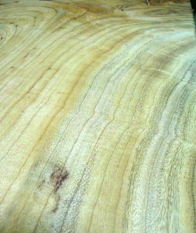 木目ちゃん　２