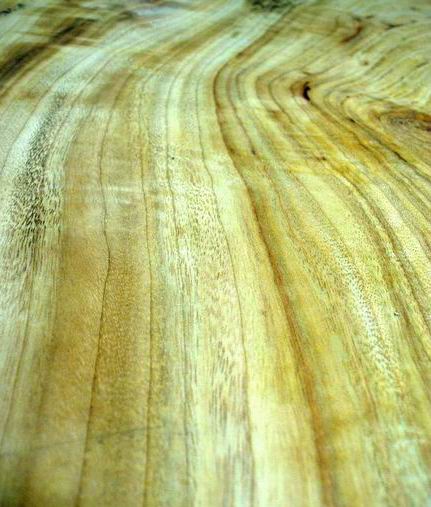 木目ちゃん　３