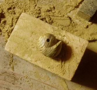 裏面削り終わり