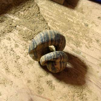 なんぢゃろ？！