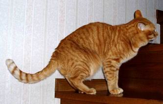 ジュダくんお兄ちゃん