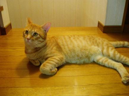 今夜のジュダっぺ