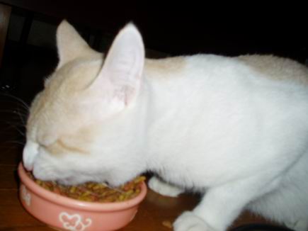 すんごいたべっぷりの朝ごはん