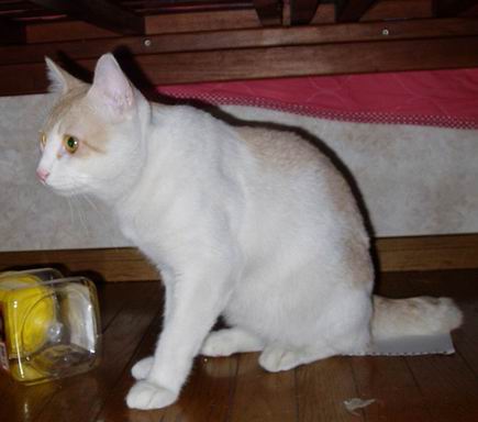 ずいぶん白くなったっぴ♪