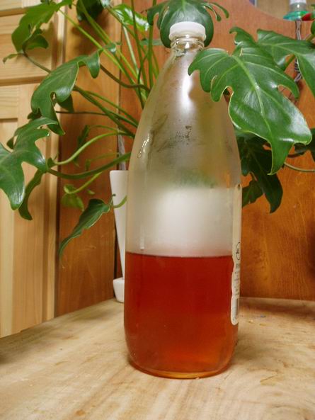 2000年もの　梅ワイン