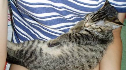 動かしてもぐっすり