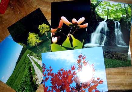 ああきれい・・・