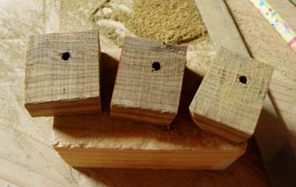 縞ちゃんシリーズの再スタート