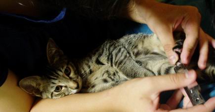 なんだか妙に大人しくないかい？！