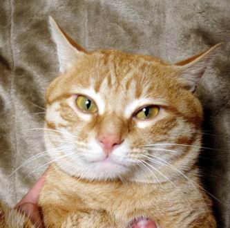 ジュダお兄たん♪