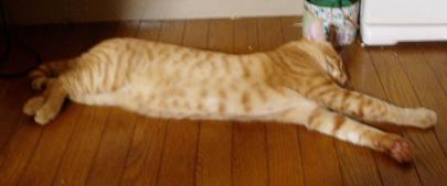 のび～っとリラックス