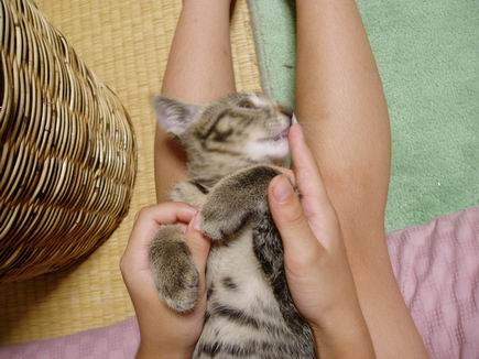 サイズ変更7.22 051.jpg