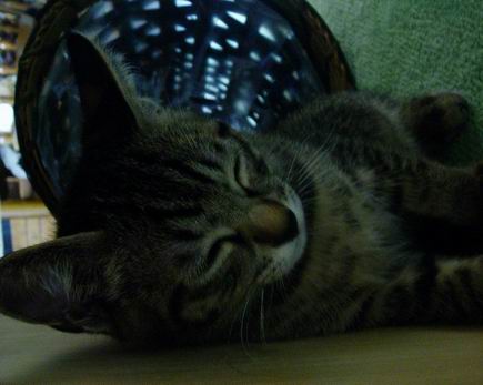 サイズ変更回転7.22 032.jpg