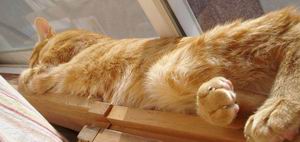 だれだれになっちまいますぅ