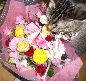 うん、なかなかいける♪