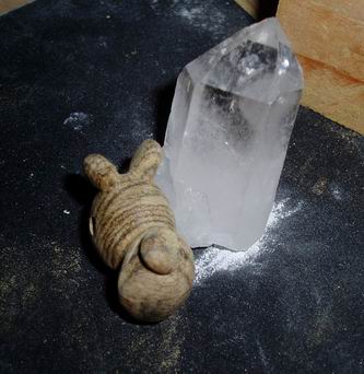 縞ちゃん３号うしろ姿