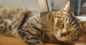 キミでしたね・・・