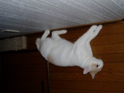 はずかしくなった？！