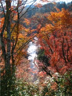粟又の滝展望台2.jpg