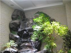 IMG_3632.jpg