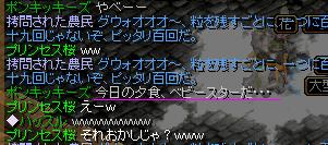 ベビーｽﾀｰ.JPG