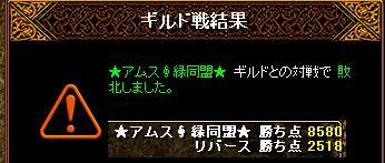 アムス緑同盟.JPG