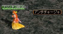 アンチチャージャ.JPG