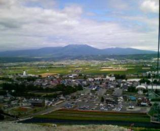 ラベンダー３.JPG