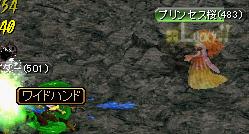 ワイドハンド.JPG