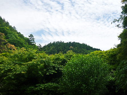 P1030440.JPG