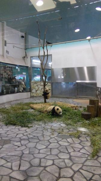 2011-02-18 15:15:06