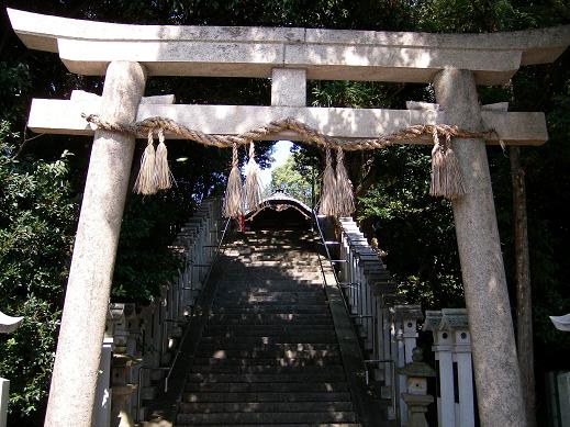 斑鳩神社　ご神木