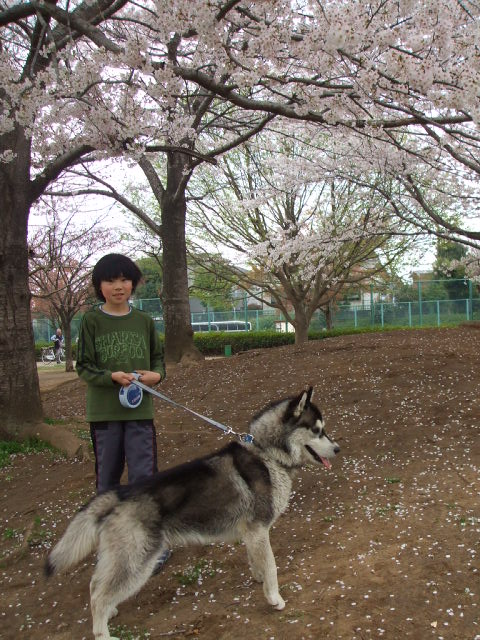 リュウとしんさん