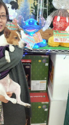 クリスマスグッズがうじゃうじゃ★