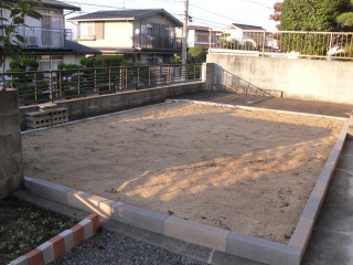 西洋芝