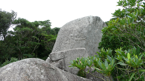 もっと上が・・・