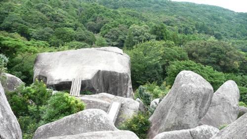 こちらはハシゴ付き