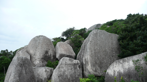 無事に降りました