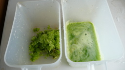 新材料チェック２