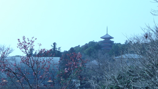 P1020908.jpg