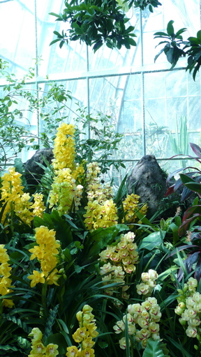 P1020927.jpg