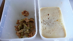 8月19日のジュース搾り上がり