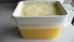 8月12日おみやげジュース漉し