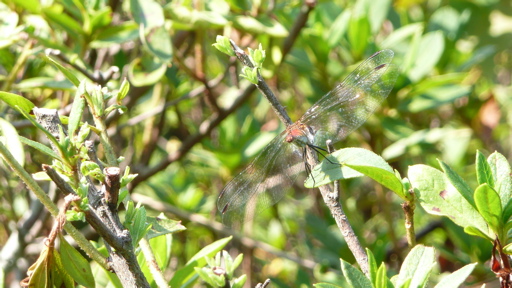 もっと変なアングル