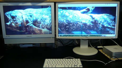 デュアルディスプレイ