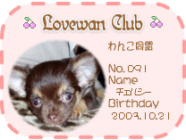 らぶわん★club会員証