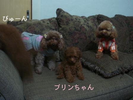 １１月２７日 (60).jpg