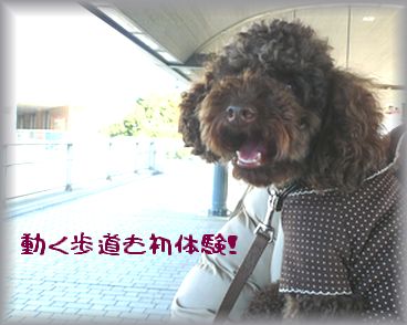 お出かけ嬉しいな～