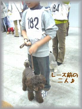 「ロミオがんばろうナ！」